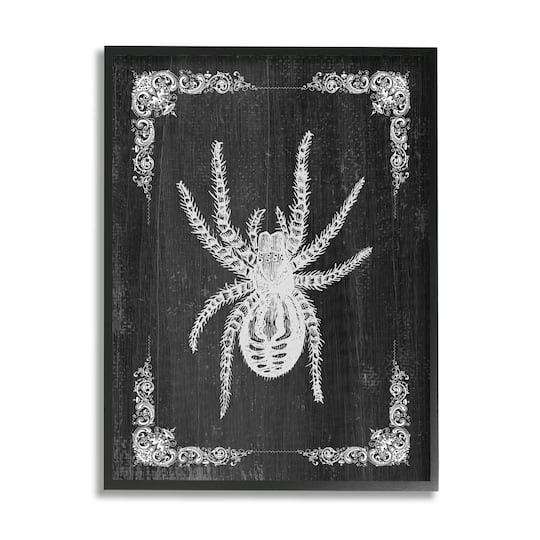 Stupell Industries Black & White Spider Framed Giclee Art